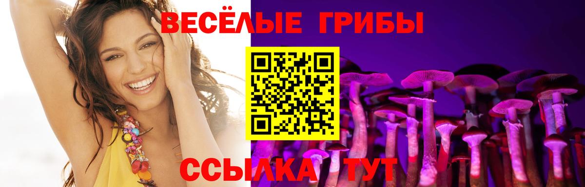 Миасс  Псилоцибиновые грибы MAGIC MUSHROOMS  Вход с VPN 